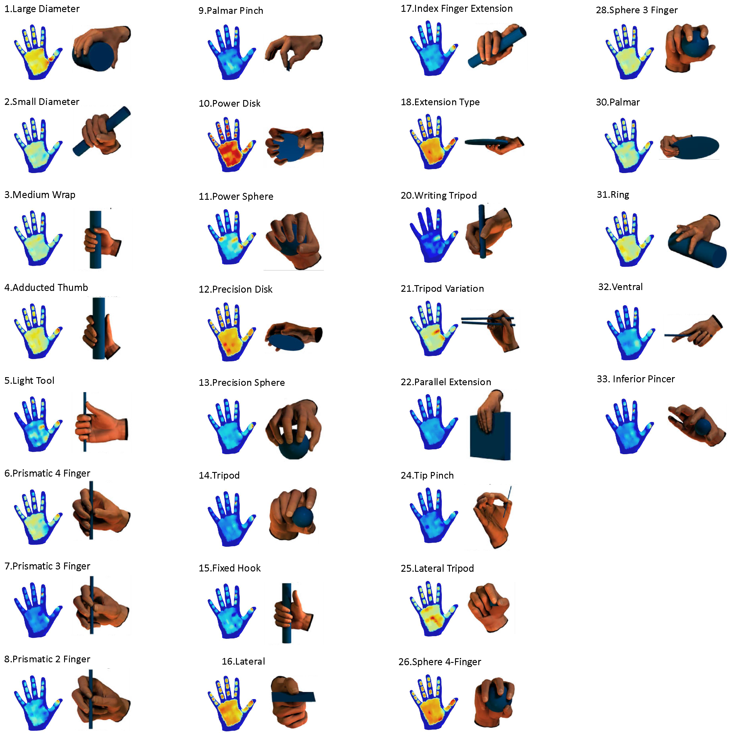 Tactile map and taxonomy figure